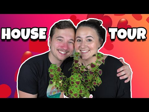 Apartment Makeover 2020 | House Tour 2.0!